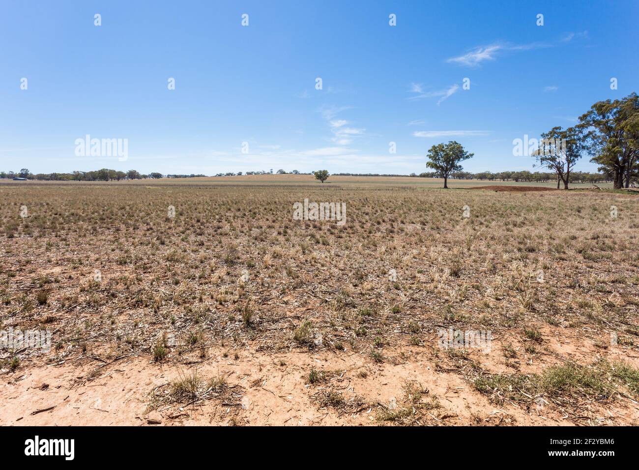 Terreni agricoli situati nel nuovo Galles del Sud - Australia. Durante un periodo asciutto. Foto Stock