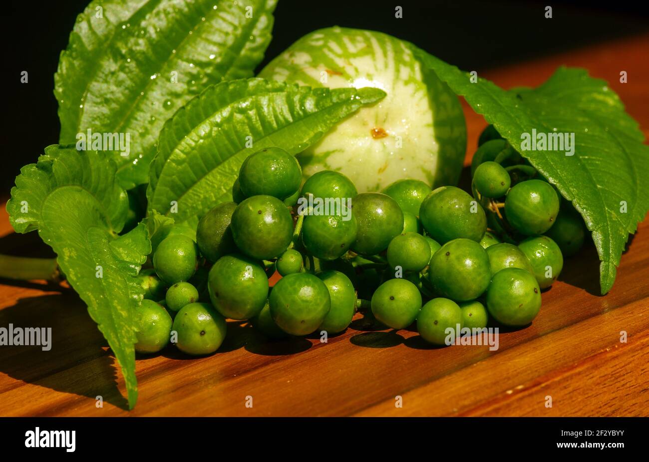 Insalata tradizionale Sundanese cruda Leunca Solanum nigrum a fuoco basso. Daun Pohpohan Pilea melastomoides. Melanzane, melongena di Solanum Foto Stock