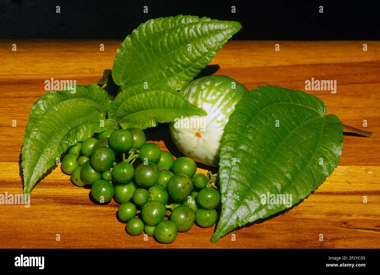 Insalata tradizionale Sundanese cruda Leunca Solanum nigrum. Daun Pohpohan Pilea melastomoides.A melanzana rotonda Solanum melongena molto popolare in Giava Occidentale Foto Stock