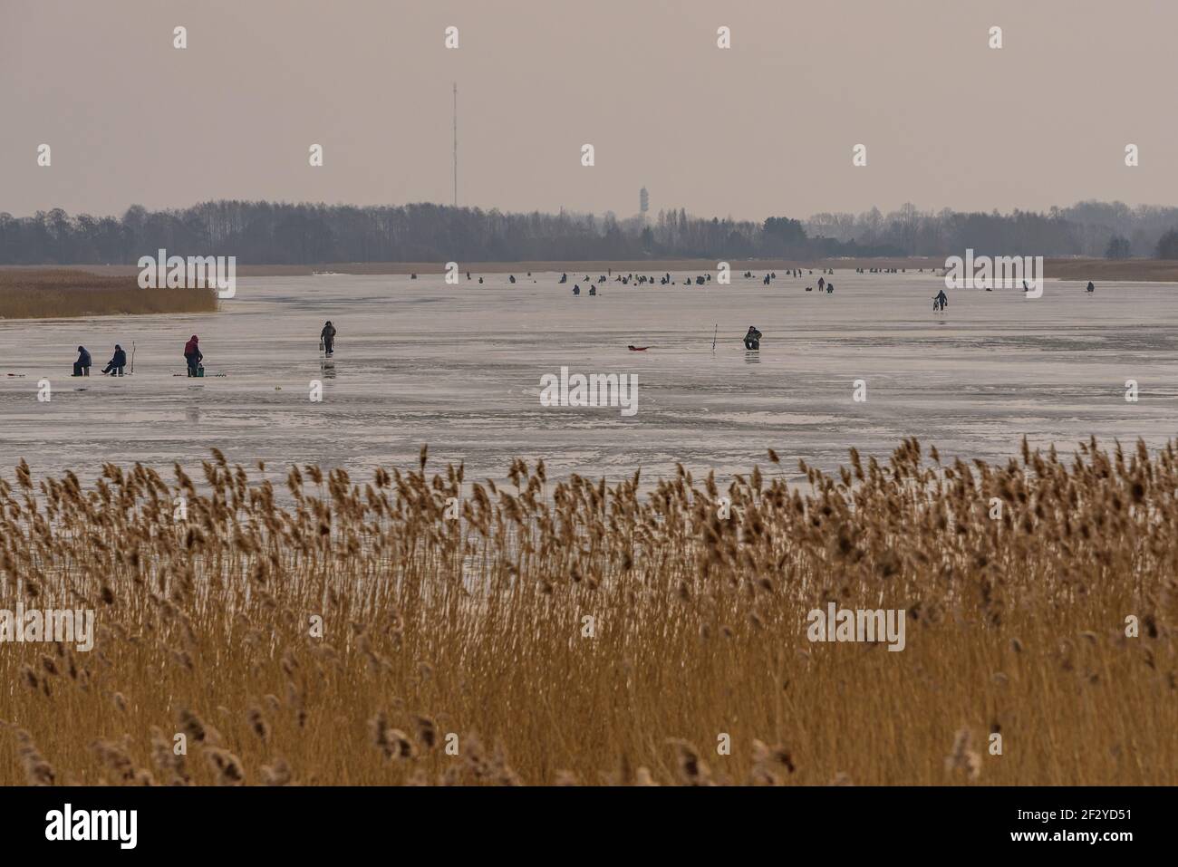 fiume congelato, pescatori piegati e ghiacciati che pescano o si muovono lungo un fiume congelato in cerca di migliori punti di pesca per catturare più pesci Foto Stock