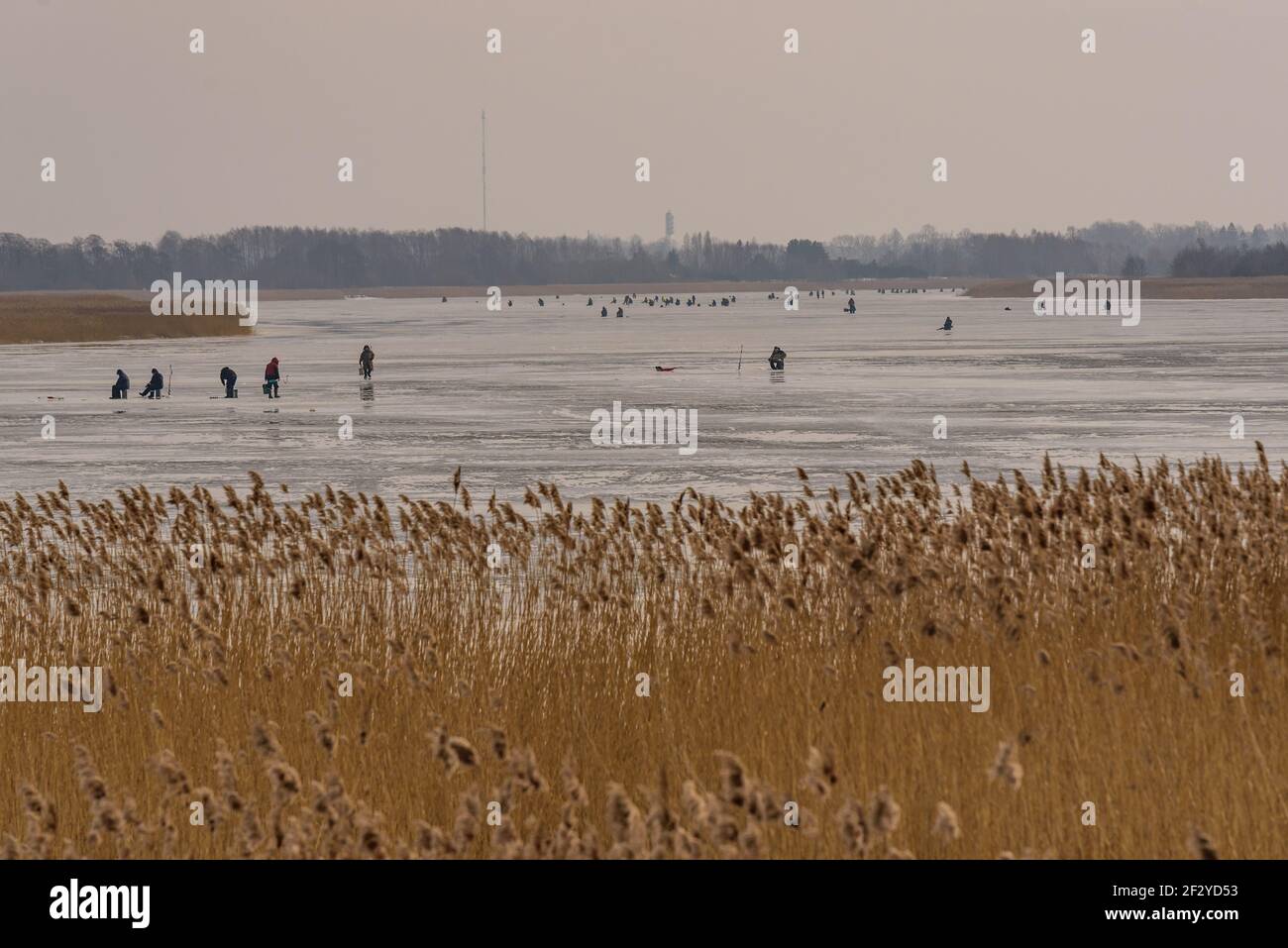 fiume congelato, pescatori piegati e ghiacciati che pescano o si muovono lungo un fiume congelato in cerca di migliori punti di pesca per catturare più pesci Foto Stock