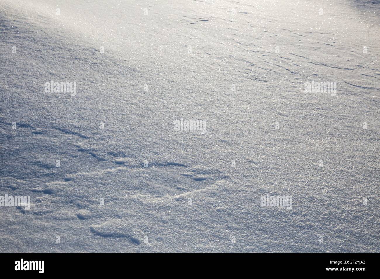 Naturale fondo neve texture. Neve fresca frizzante al sole Foto Stock