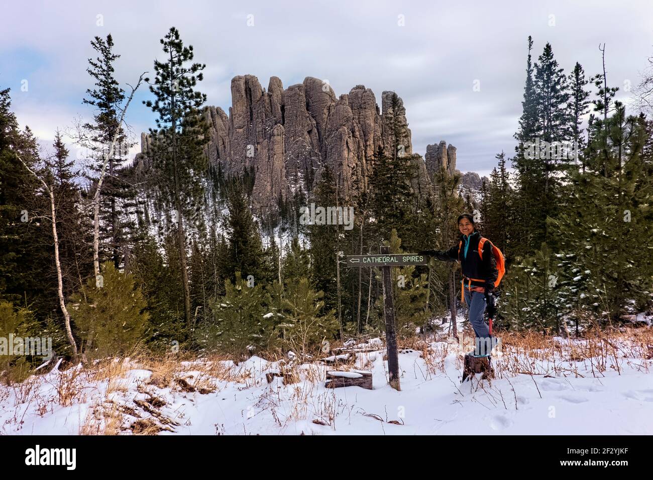 Viiew of the Cathedral Spires, Black Elk Peak Trail, Custer state Park, South Dakota, U.S.A Foto Stock