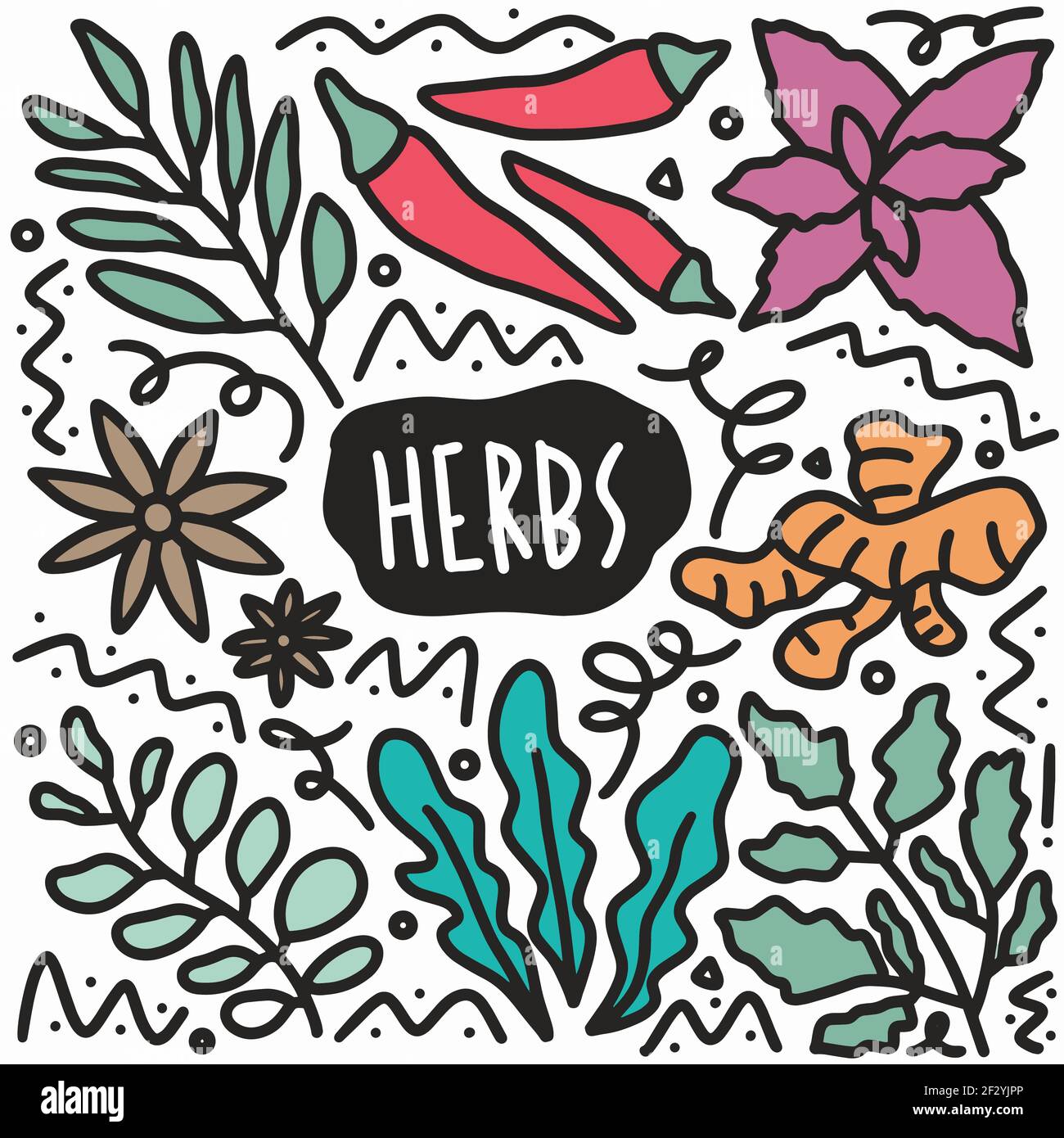 doodle varie erbe raccolta disegni a mano Illustrazione Vettoriale