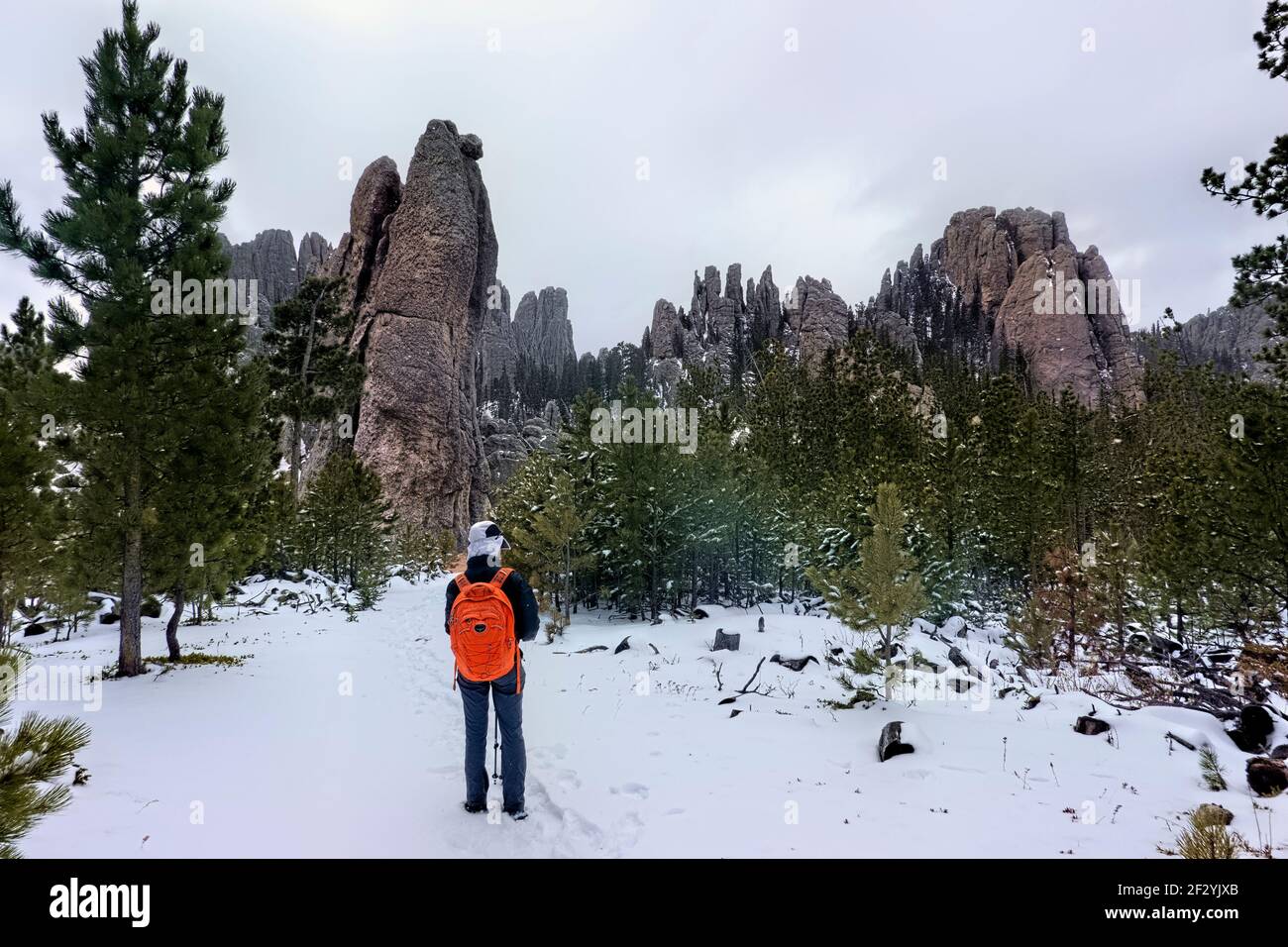 Viiew of the Cathedral Spires, Black Elk Peak Trail, Custer state Park, South Dakota, U.S.A Foto Stock