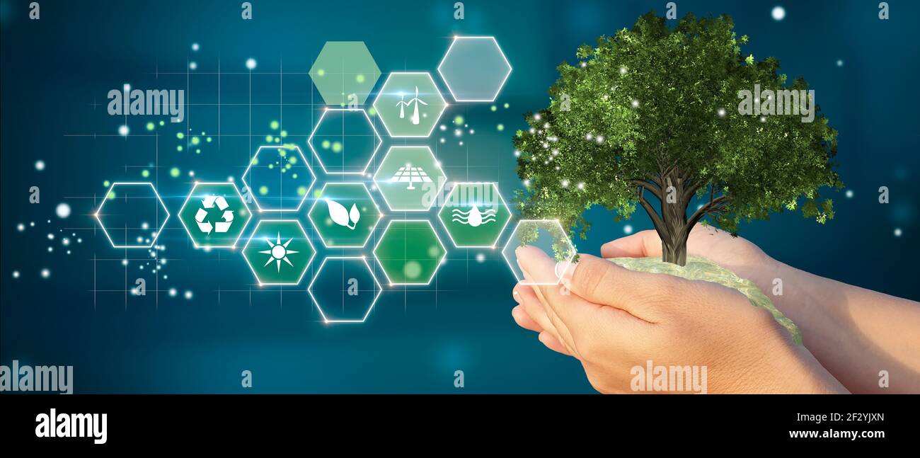 Donna che tiene albero con simboli di riciclaggio e pianeta verde. Concetto ecologico, ecologia, energia pulita e ambiente. Elementi di questa immagine forniti da NA Foto Stock