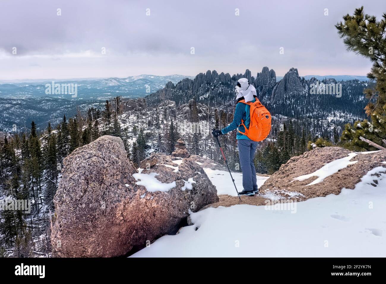 Viiew of the Cathedral Spires, Black Elk Peak Trail, Custer state Park, South Dakota, U.S.A Foto Stock