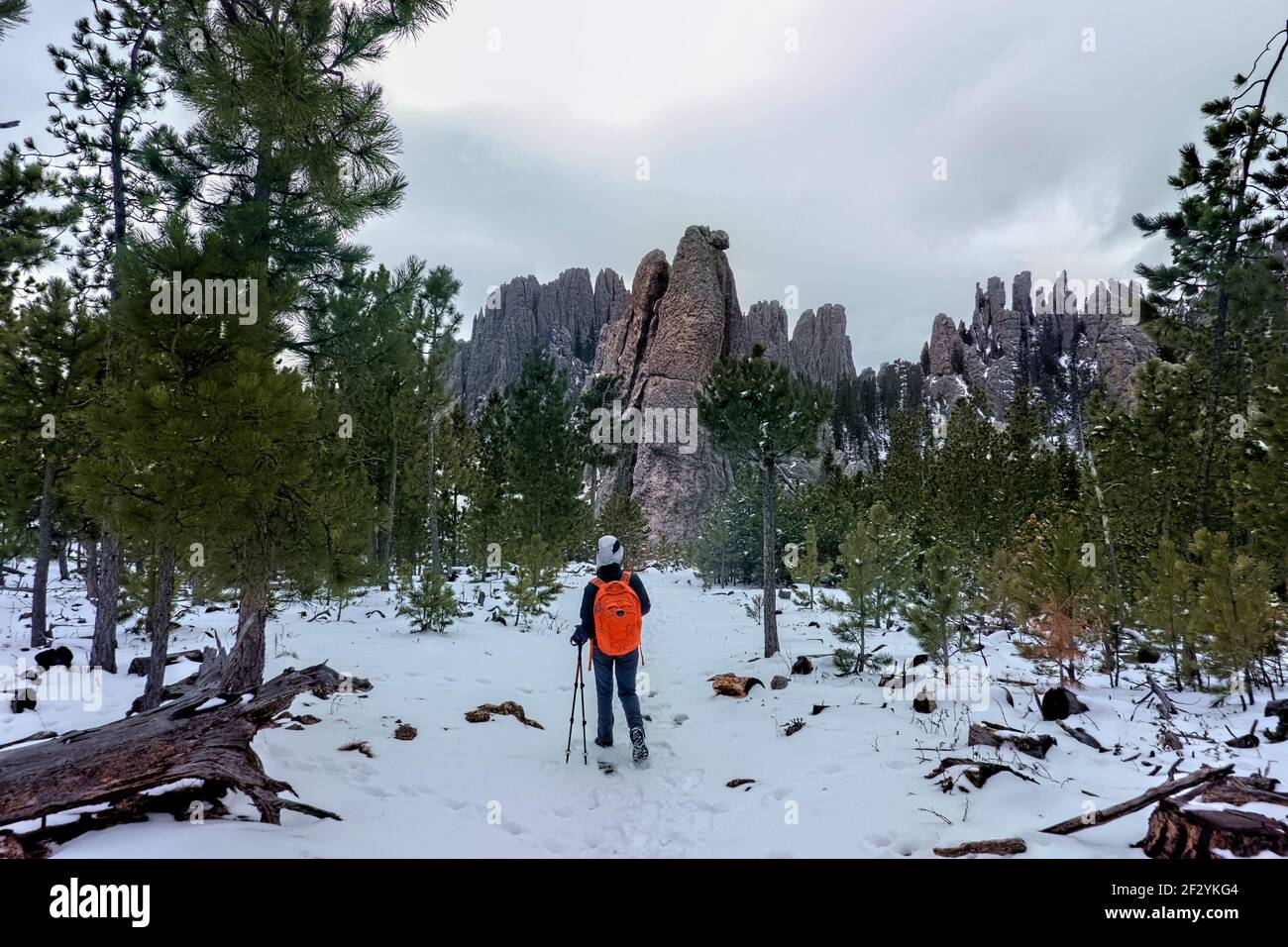 Viiew of the Cathedral Spires, Black Elk Peak Trail, Custer state Park, South Dakota, U.S.A Foto Stock