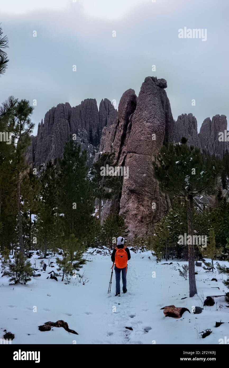 Viiew of the Cathedral Spires, Black Elk Peak Trail, Custer state Park, South Dakota, U.S.A Foto Stock