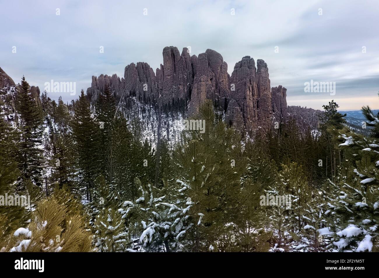 Viiew of the Cathedral Spires, Black Elk Peak Trail, Custer state Park, South Dakota, U.S.A Foto Stock