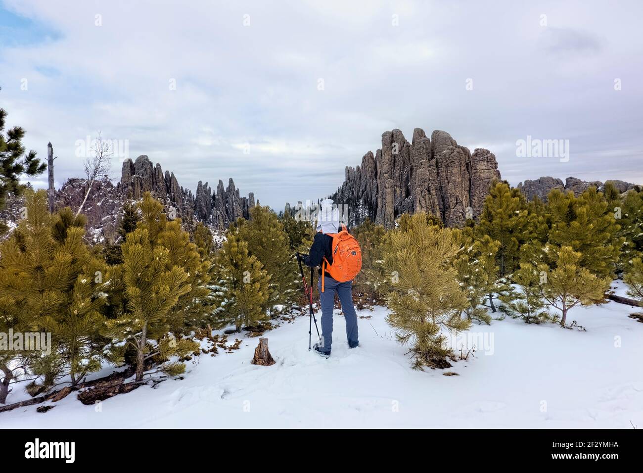 Viiew of the Cathedral Spires, Black Elk Peak Trail, Custer state Park, South Dakota, U.S.A Foto Stock