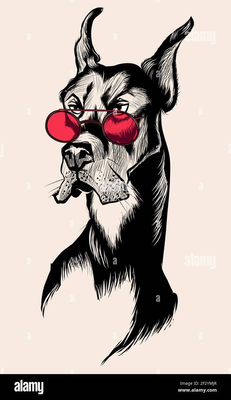 Bel cane Doberman con occhiali da sole rossi - illustrazione vettoriale Illustrazione Vettoriale