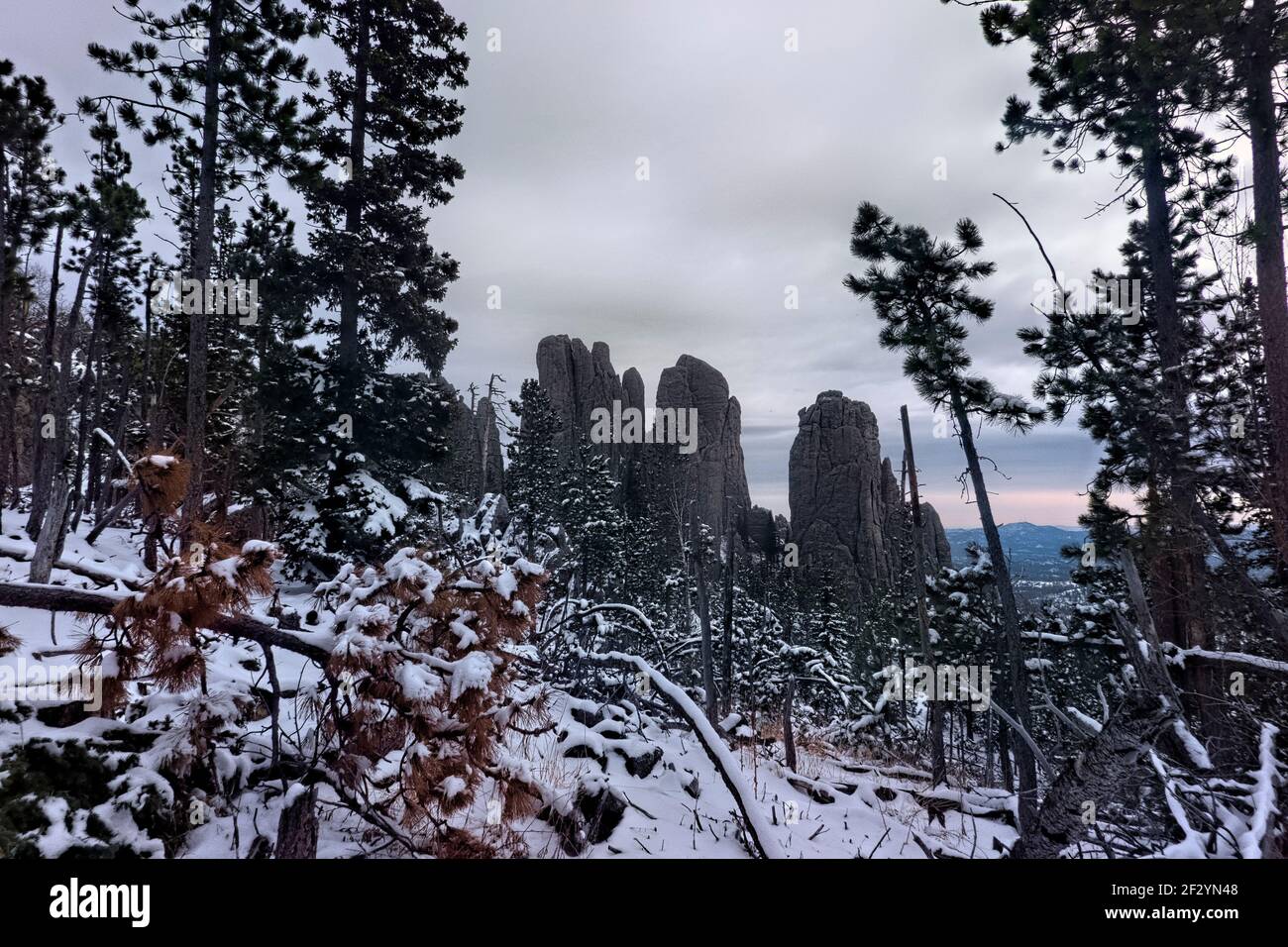 Viiew of the Cathedral Spires, Black Elk Peak Trail, Custer state Park, South Dakota, U.S.A Foto Stock