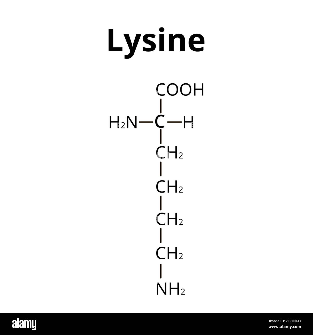 Aminoacido lisina. Formula chimica molecolare la lisina è un amminoacido. Illustrazione vettoriale su sfondo isolato Illustrazione Vettoriale