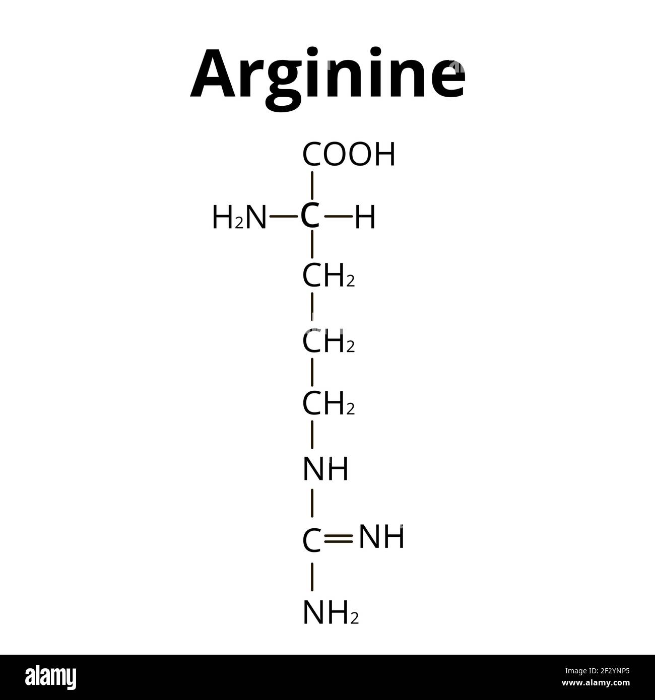 Amminoacido di arginina. Formula molecolare chimica amminoacido arginina. Illustrazione vettoriale su sfondo isolato Illustrazione Vettoriale