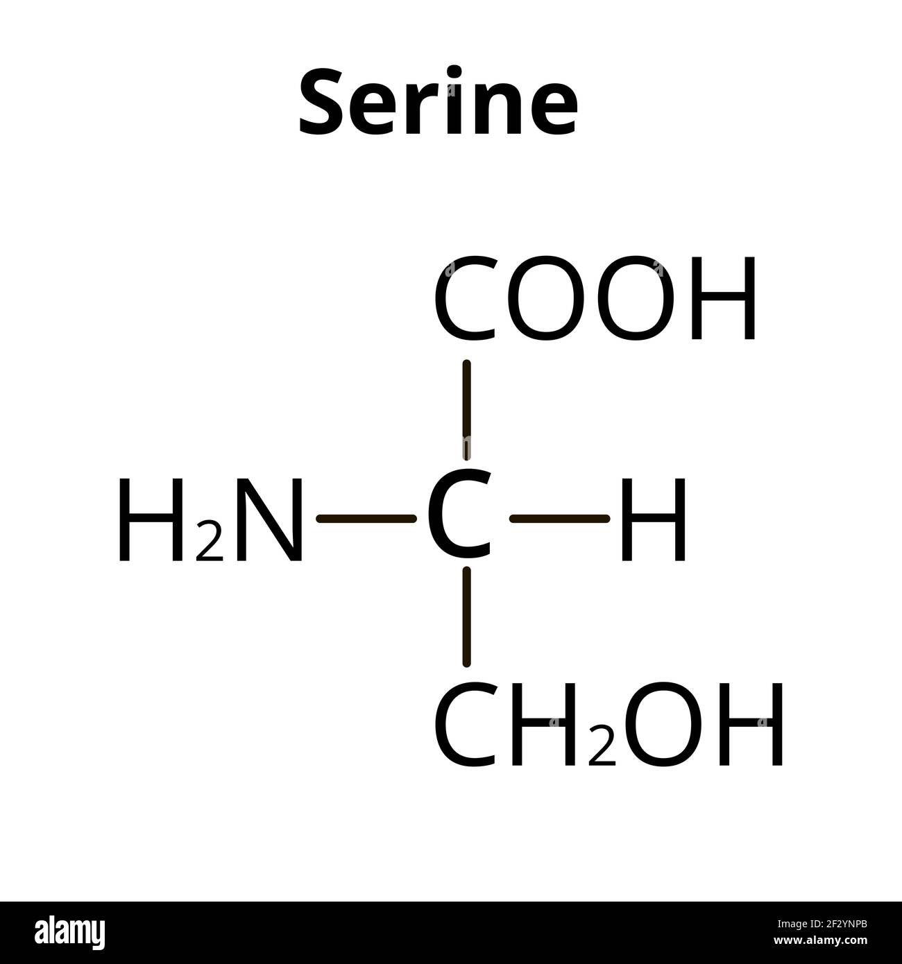 Aminoacido serinico. Formula molecolare chimica serina aminoacido. Illustrazione vettoriale su sfondo isolato Illustrazione Vettoriale
