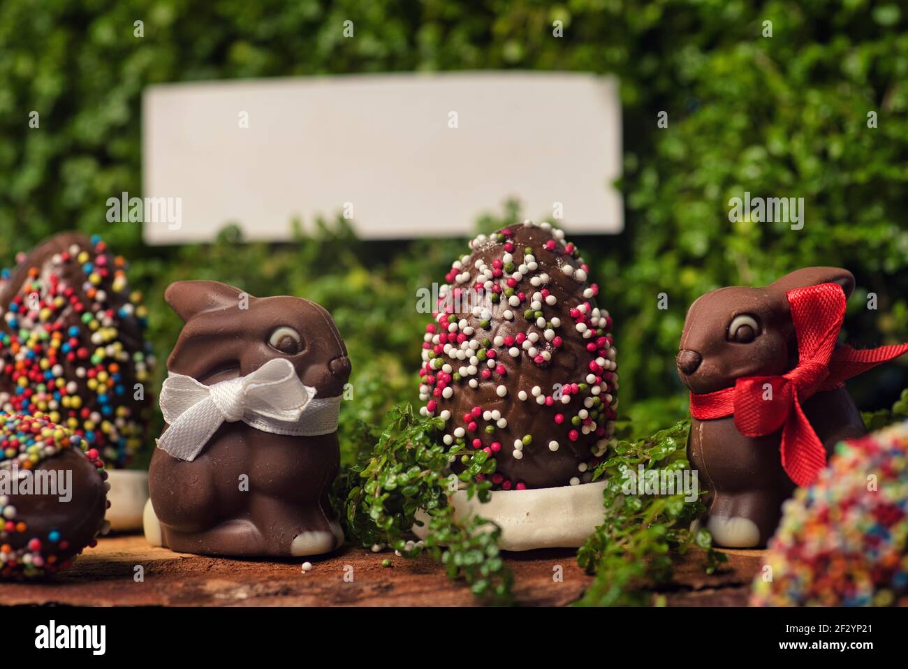 Uova di Pasqua al cioccolato con caramelle all'uovo su un tavolo di legno nel cortile con piante verdi primaverili sullo sfondo con una nota vuota Foto Stock