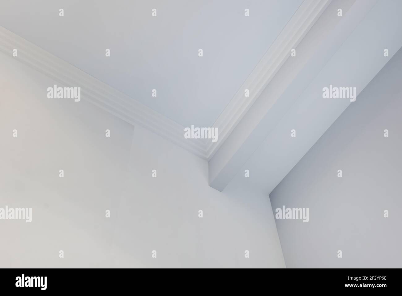 Particolare di cornice angolare per soffitto con intricato profilo a corona. Foto Stock