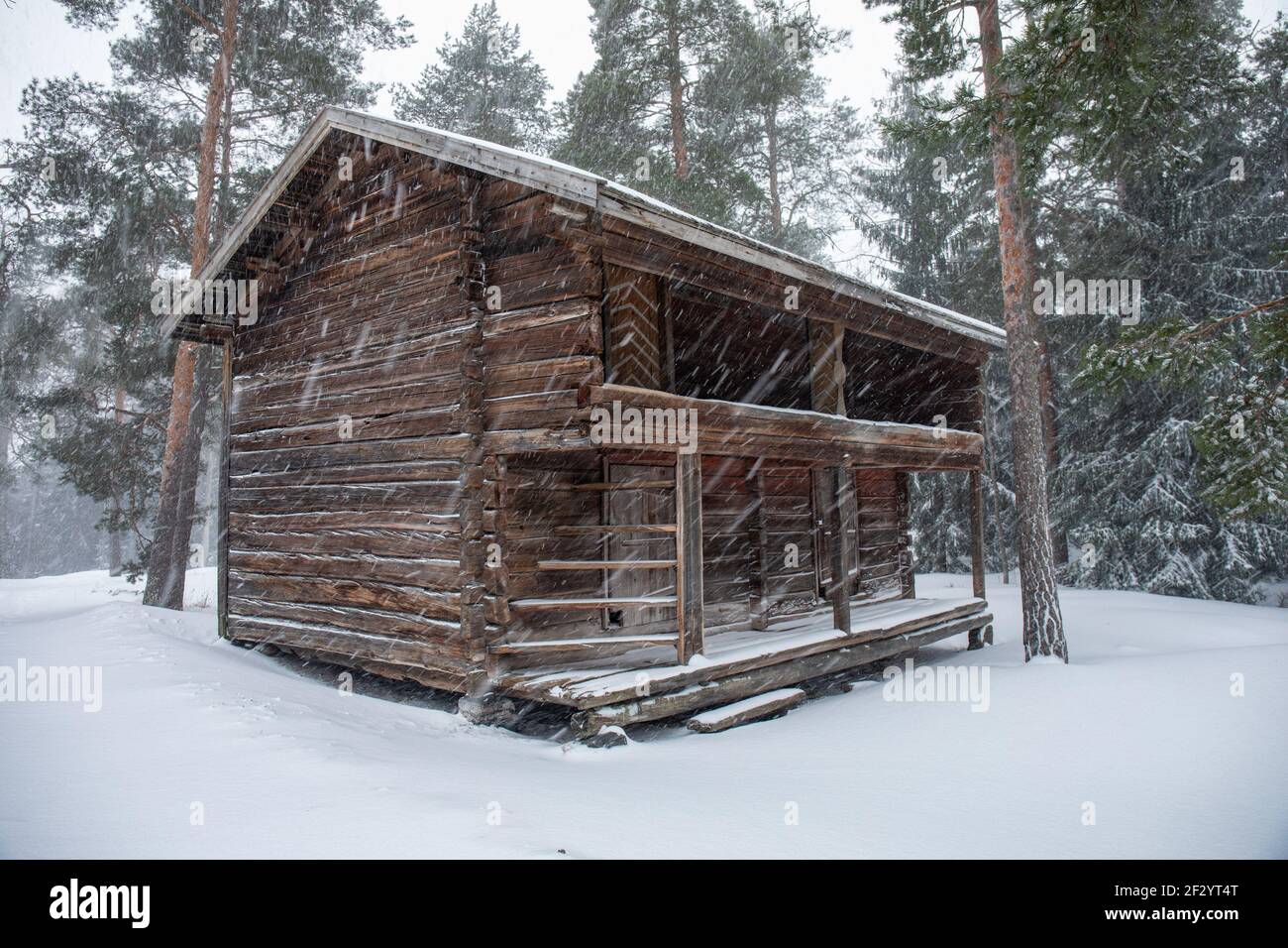 Vecchio fienile di essiccazione o granaio di tronchi durante le forti nevicate al Seurasaari Open-Air Museum di Helsinki, Finlandia Foto Stock