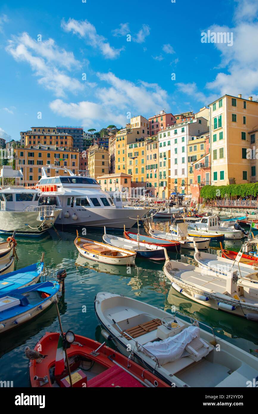 Il porto è il cuore della pittoresca cittadina di Canogli, nella parte  orientale della Liguria. E' un piccolo porto affollato da barche  tradizionali Foto stock - Alamy