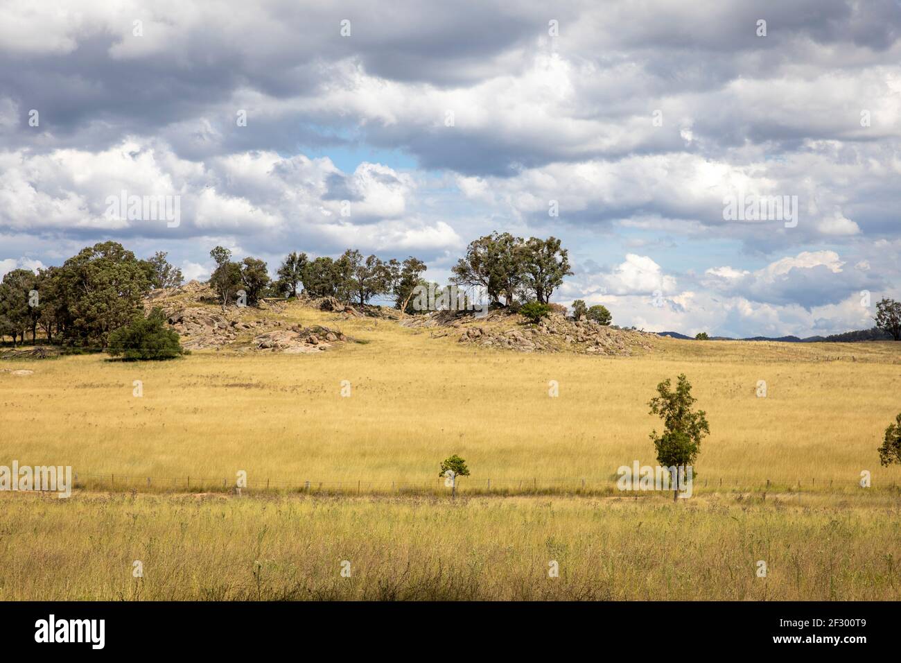 Paesaggio australiano nella regione di Mudgee del nuovo galles del Sud Un giorno d'autunno, Mudgee, Australia Foto Stock