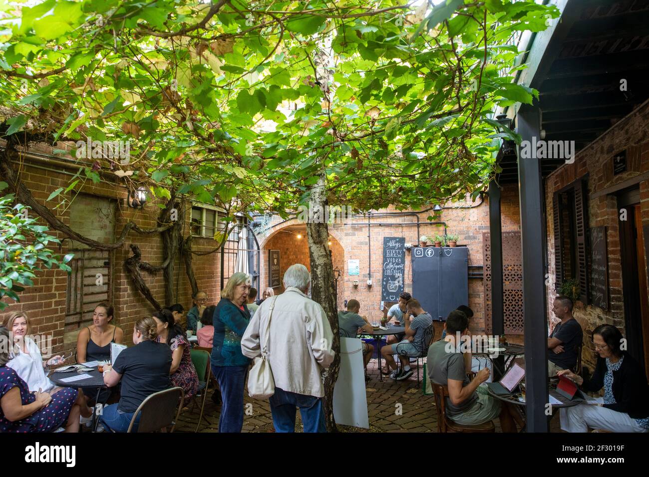 Cafe Courtyard nel centro di Mudgee con la gente che mangia la colazione E bere caffè, NSW, Australia Foto Stock