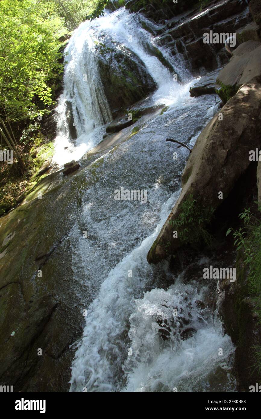 Jefferson National Forest, Virginia, Stati Uniti. Cascata creata dal torrente Roaring Run. Foto Stock