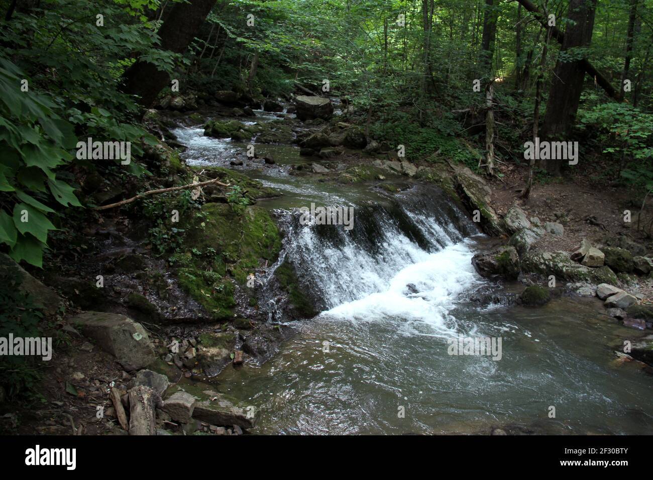 Jefferson National Forest, Virginia, Stati Uniti. Piccola cascata lungo il torrente Roaring Run. Foto Stock