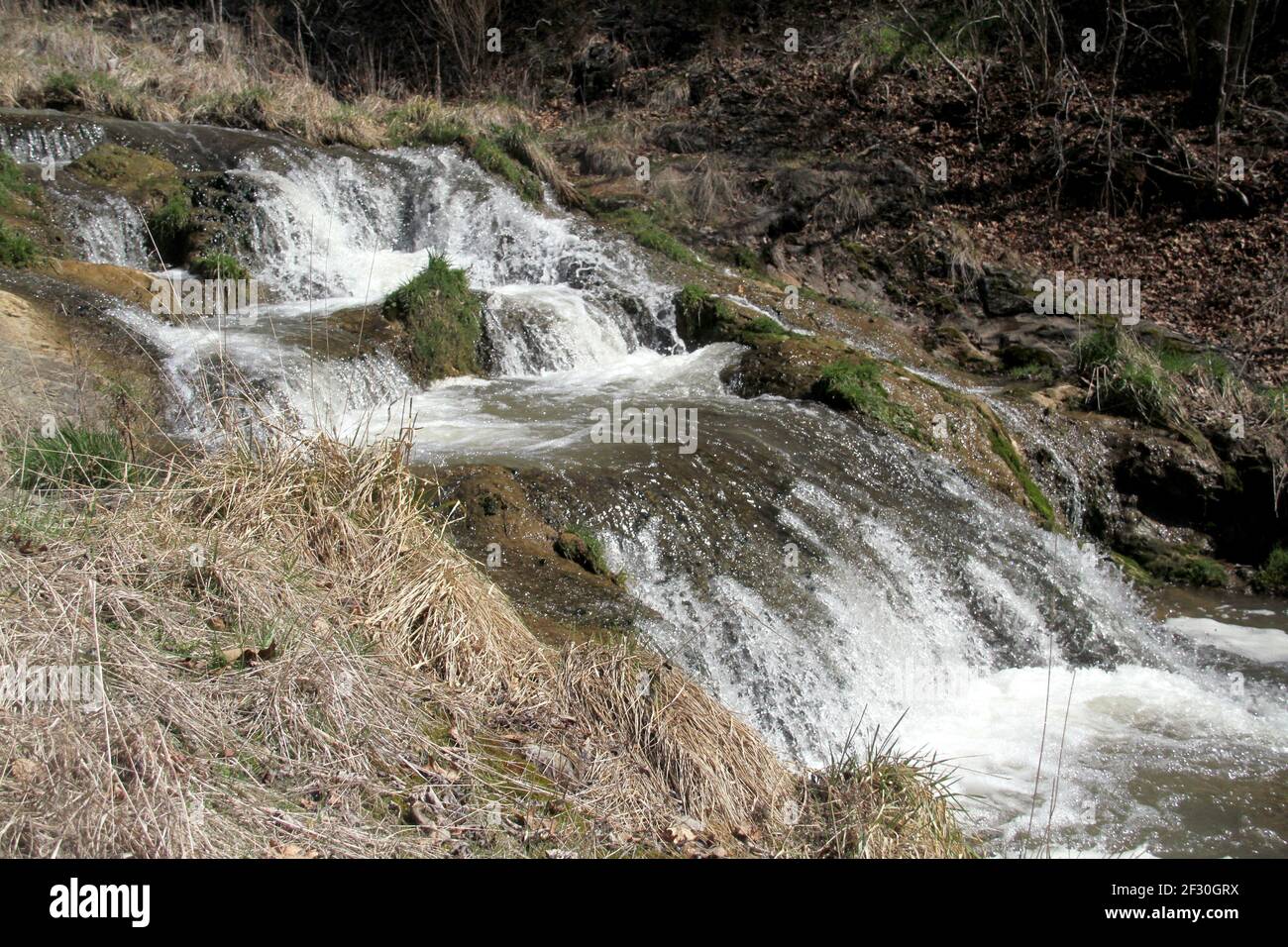 Moffatt's Creek in Virginia, Stati Uniti Foto Stock