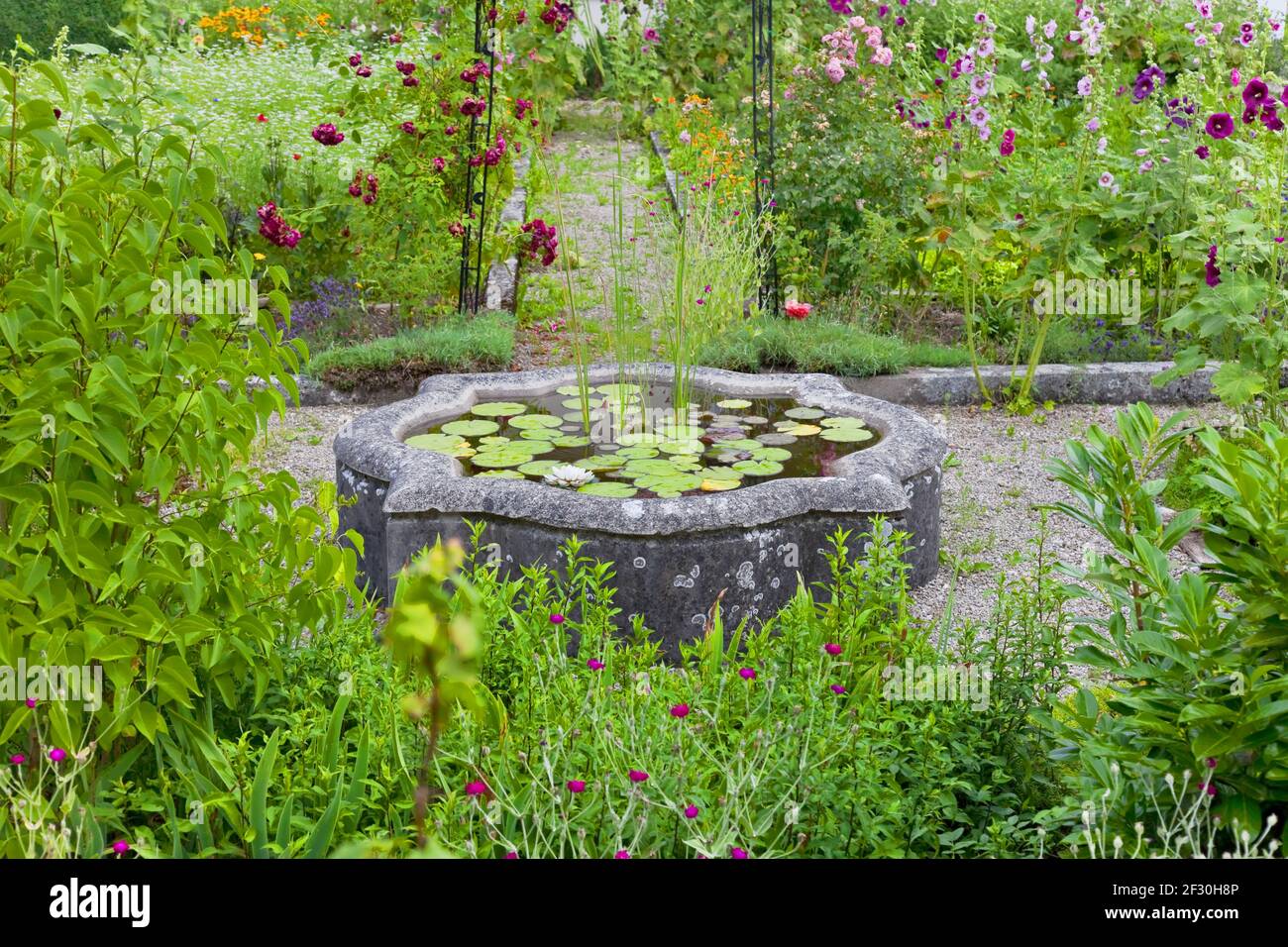 Parco esotico con laghetto e fontana Foto Stock