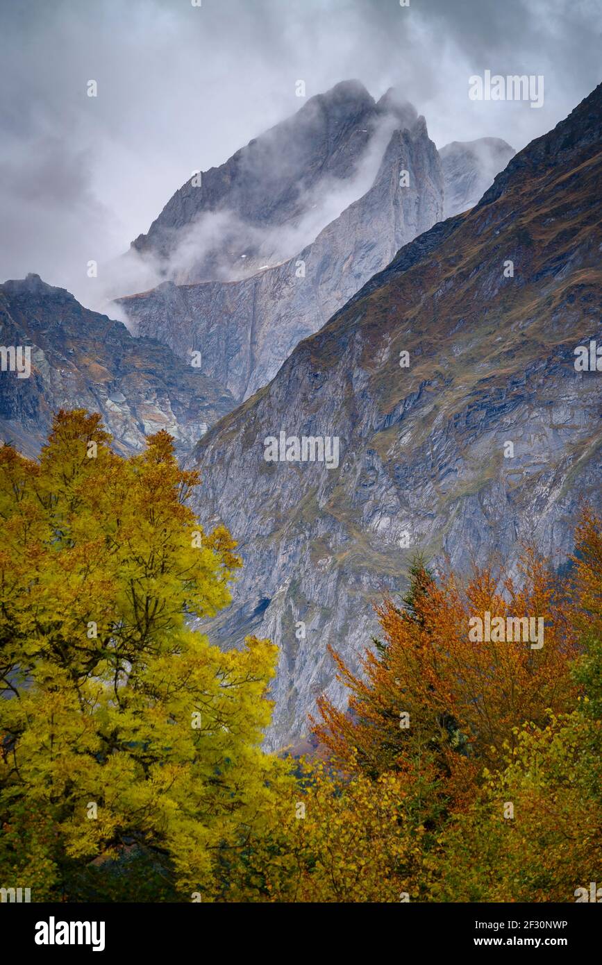 Faggeta e le vette gemelle Malh des POIs nella valle di Artiga de Lin, in autunno (Valle d'Aran, Catalogna, Spagna, Pirenei) Foto Stock