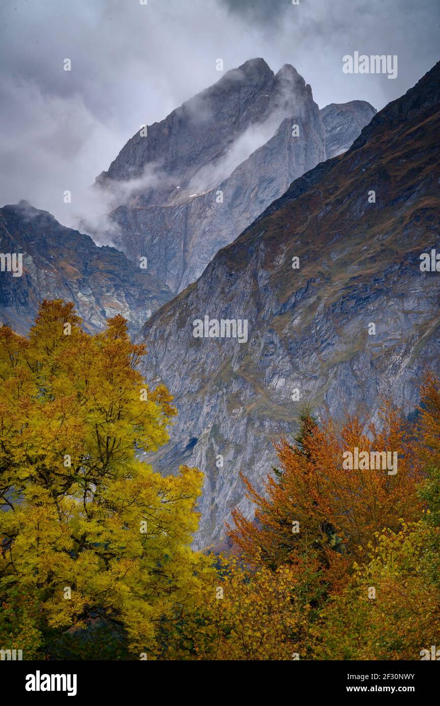 Faggeta e le vette gemelle Malh des POIs nella valle di Artiga de Lin, in autunno (Valle d'Aran, Catalogna, Spagna, Pirenei) Foto Stock