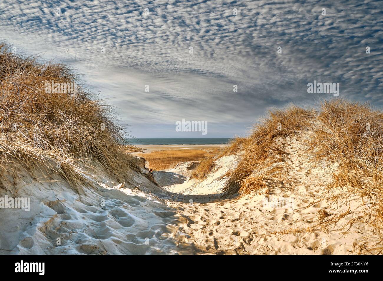 Dune sulla costa del Mare del Nord a Rindby a Fanoe, Danimarca Foto Stock