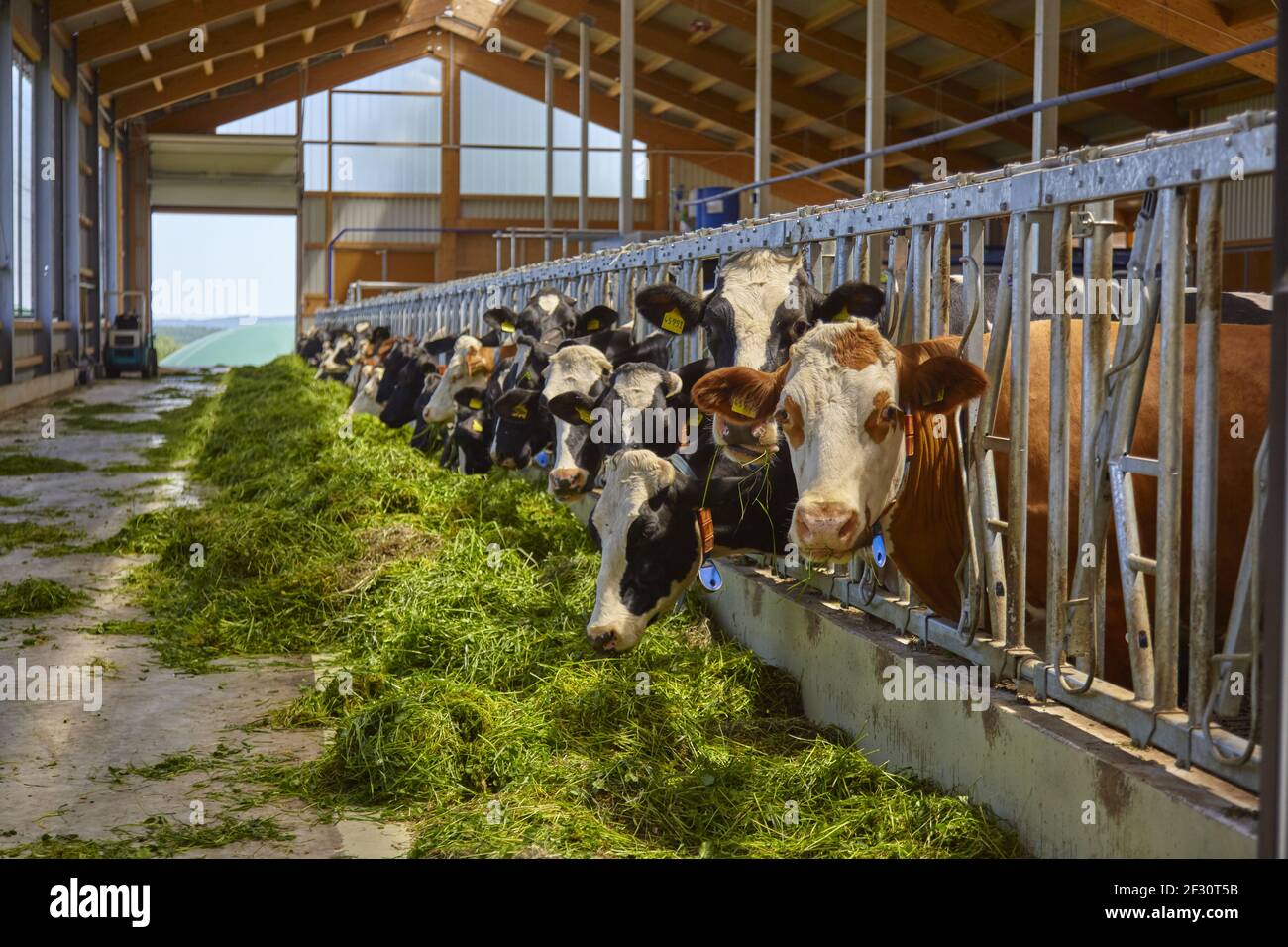 Stalla Per Animali In Legno Con Alimentazione Elettrica - Scala 1:32, Per Veicoli Ferroviari E Piccoli Animali Schleich