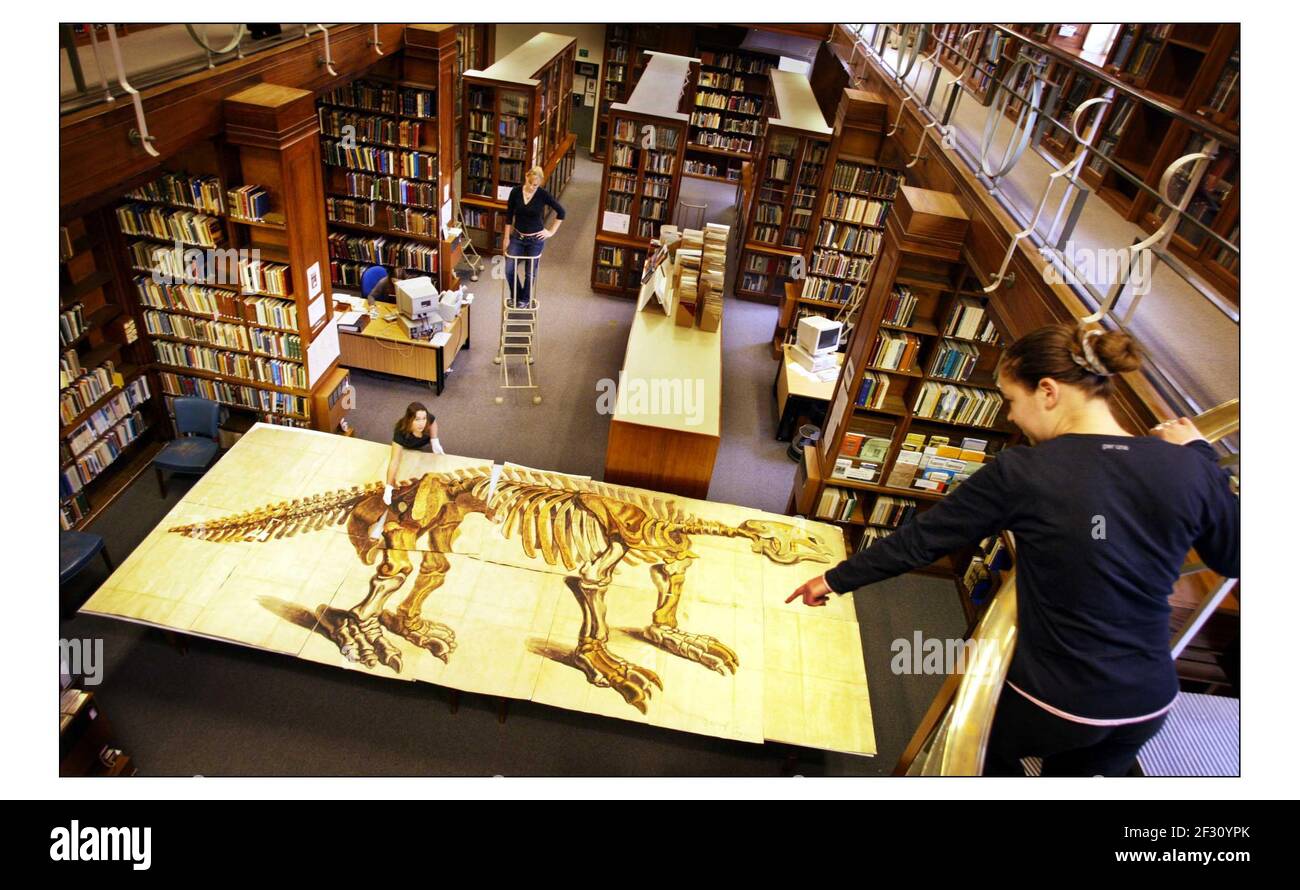 Il Museo di Storia Naturale esorterà per la prima volta il suo disegno più grande come parte di Inside out, Big Draw 2004, un programma di eventi di disegno a livello nazionale. La foto di un gigantesco sloth di George Scharf (1788-1860) era sempre noto per essere nella collezione. Misura 2.46 x 5.7 metri. pic David Sandison 15/10/2004 Foto Stock