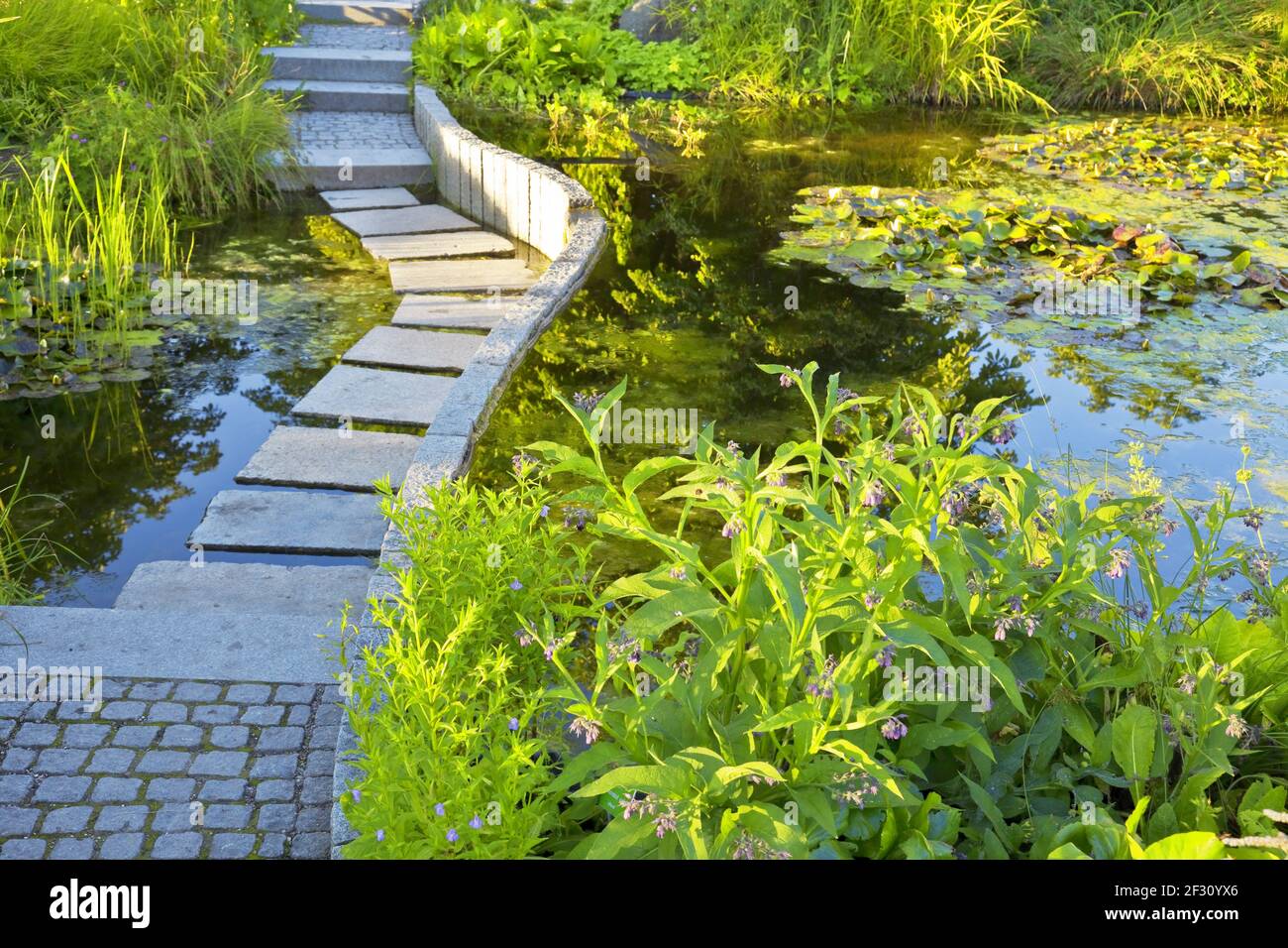 Bellissimo giardino ben tenuto con laghetto giardino Foto Stock