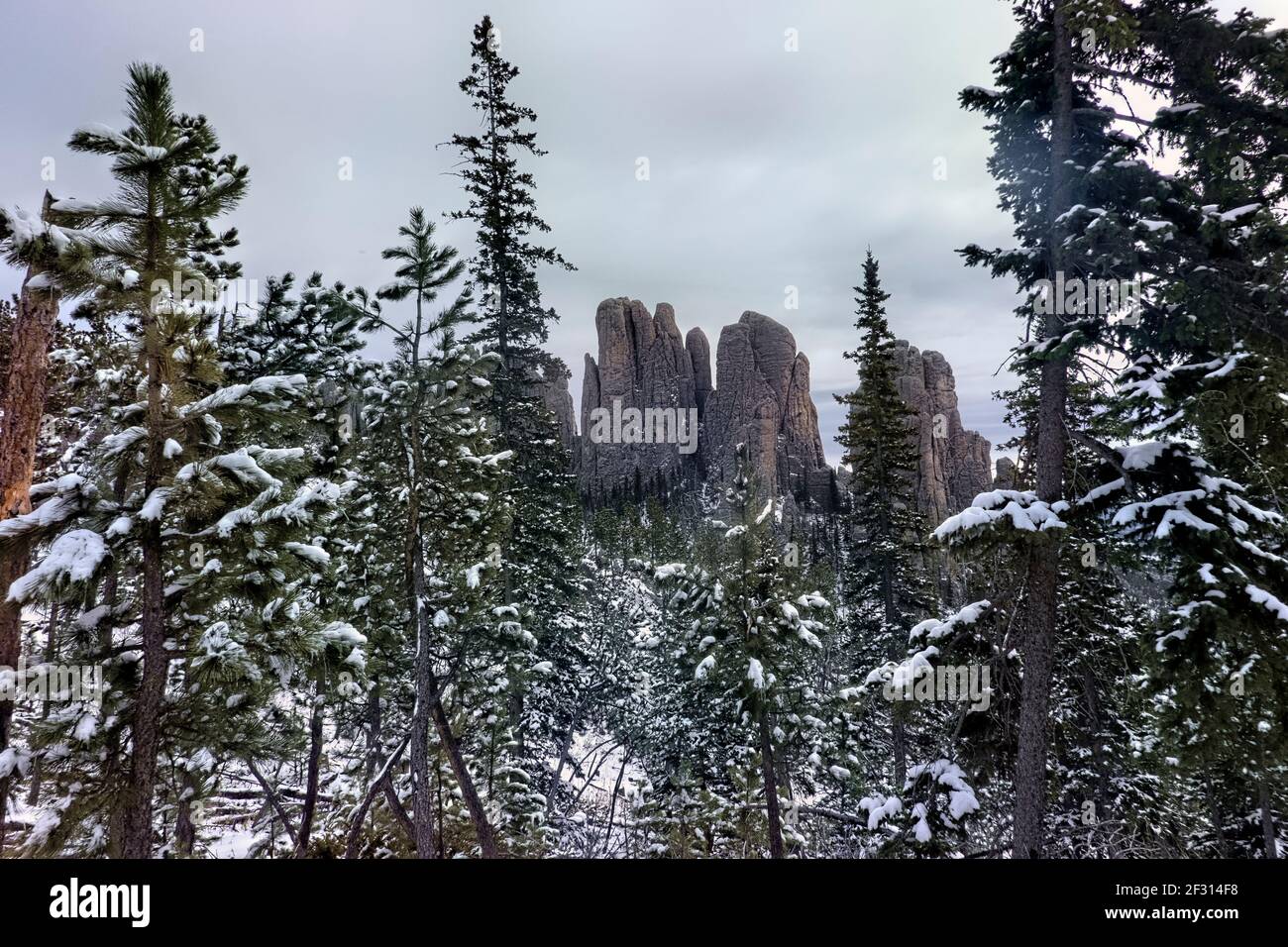 Viiew of the Cathedral Spires, Black Elk Peak Trail, Custer state Park, South Dakota, U.S.A Foto Stock