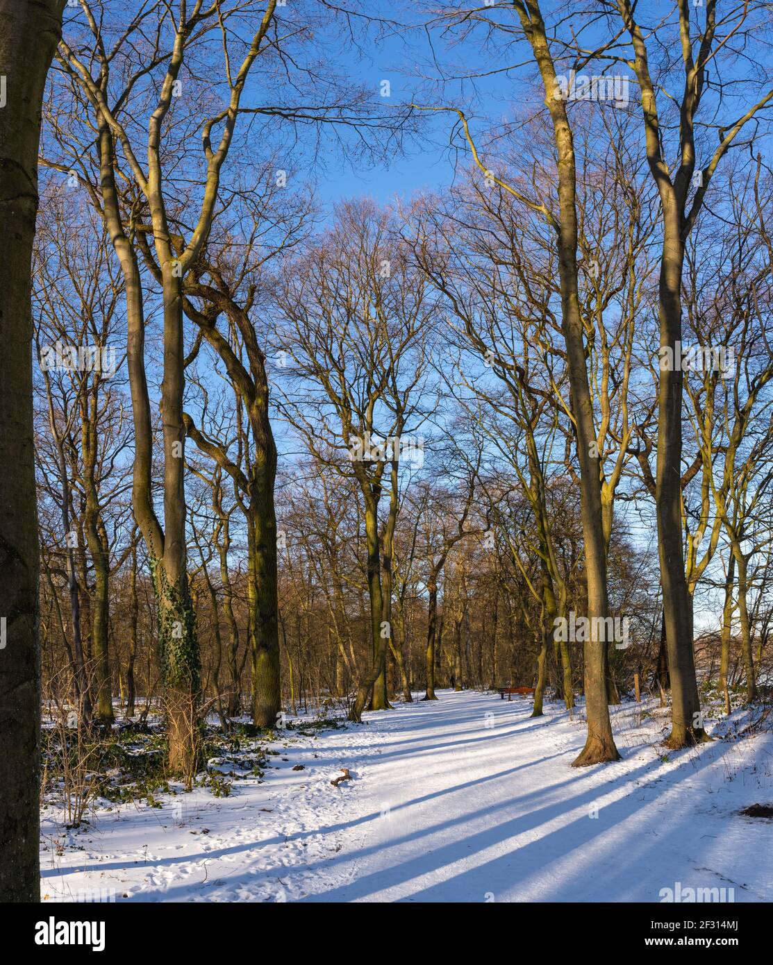Una passeggiata nella zona ricreativa Sechs-Seen-Platte a Duisburg Wedau in una giornata invernale soleggiata e fredda Foto Stock