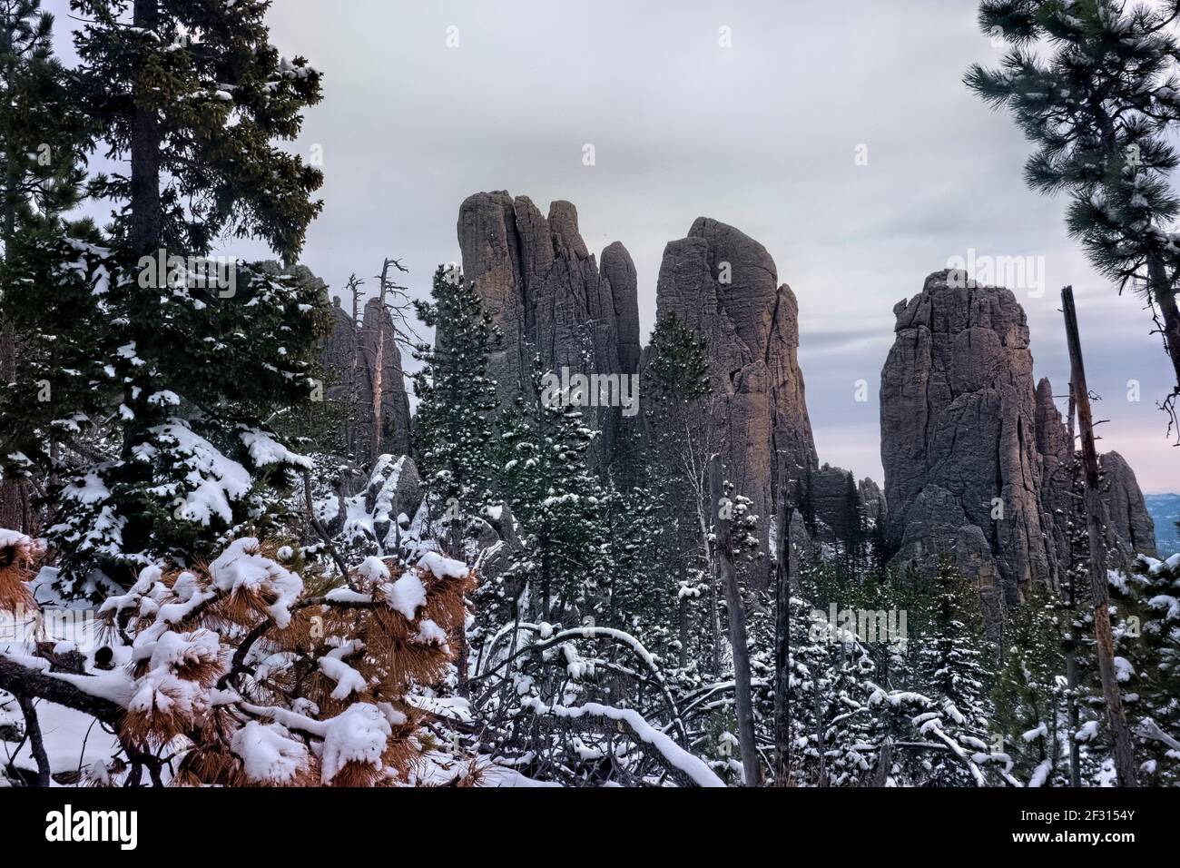 Viiew of the Cathedral Spires, Black Elk Peak Trail, Custer state Park, South Dakota, U.S.A Foto Stock