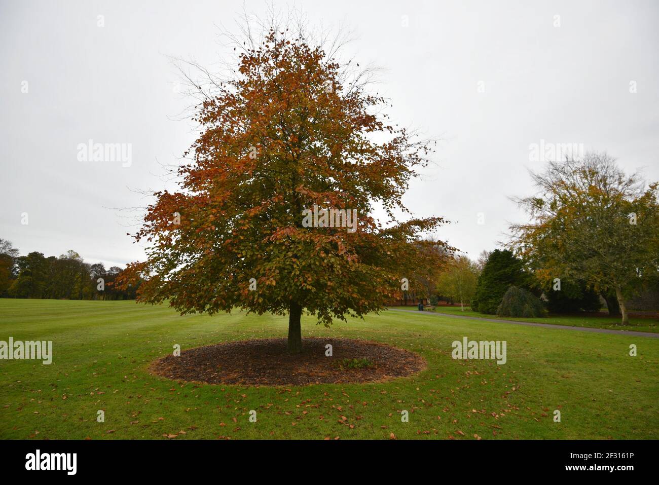 Paesaggio autunnale con vista panoramica del Castello di Kilkenny che circonda i giardini nella contea di Kilkenny, Leinster Irlanda. Foto Stock