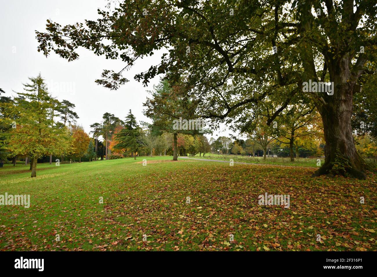 Paesaggio autunnale con vista panoramica del Castello di Kilkenny che circonda i giardini nella contea di Kilkenny, Leinster Irlanda. Foto Stock