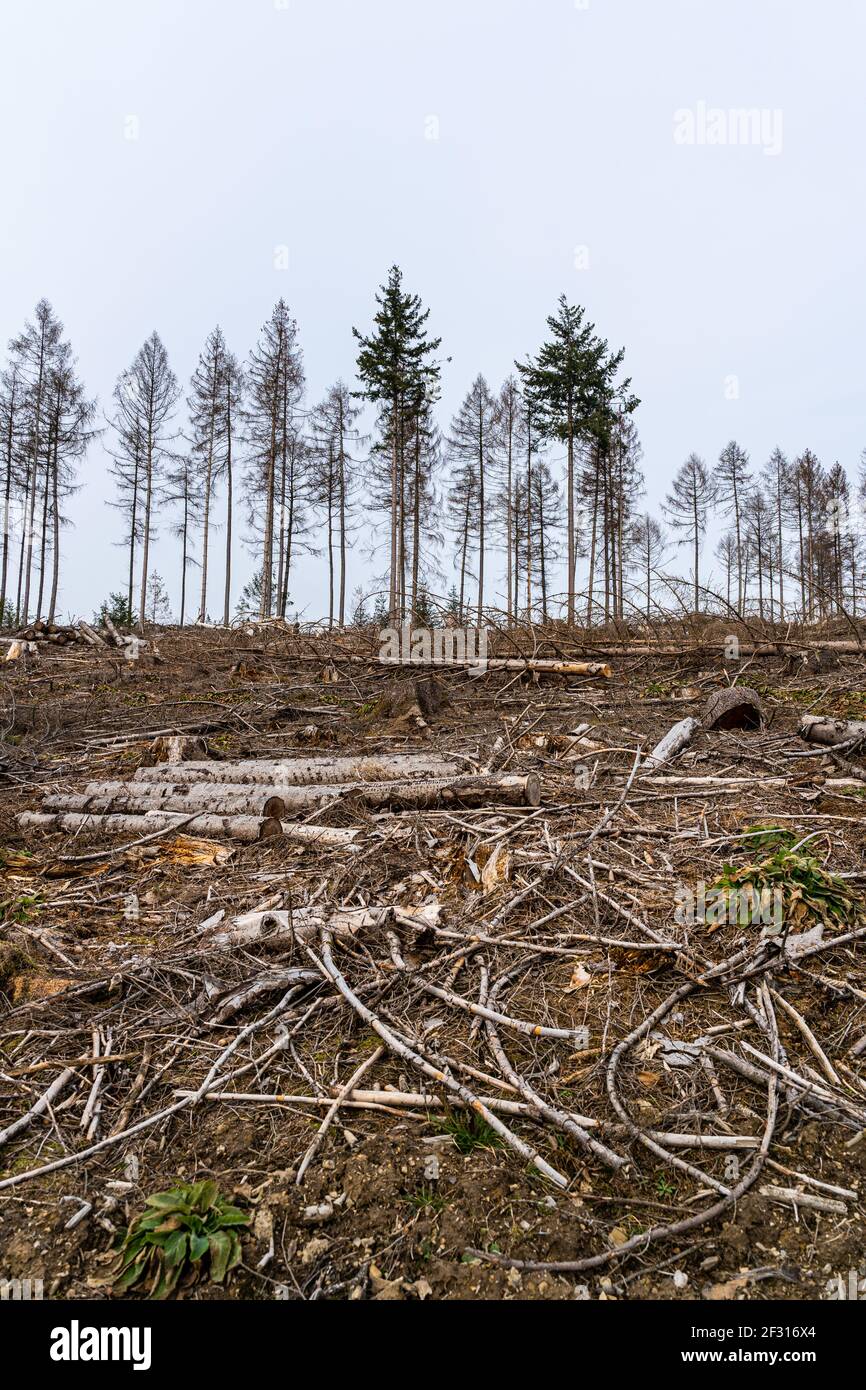 Frutto del cambiamento climatico immagini e fotografie stock ad alta  risoluzione - Alamy