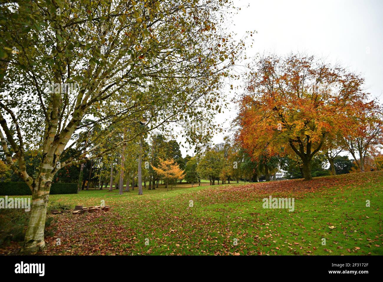 Paesaggio autunnale con vista panoramica del Castello di Kilkenny che circonda i giardini nella contea di Kilkenny, Leinster Irlanda. Foto Stock