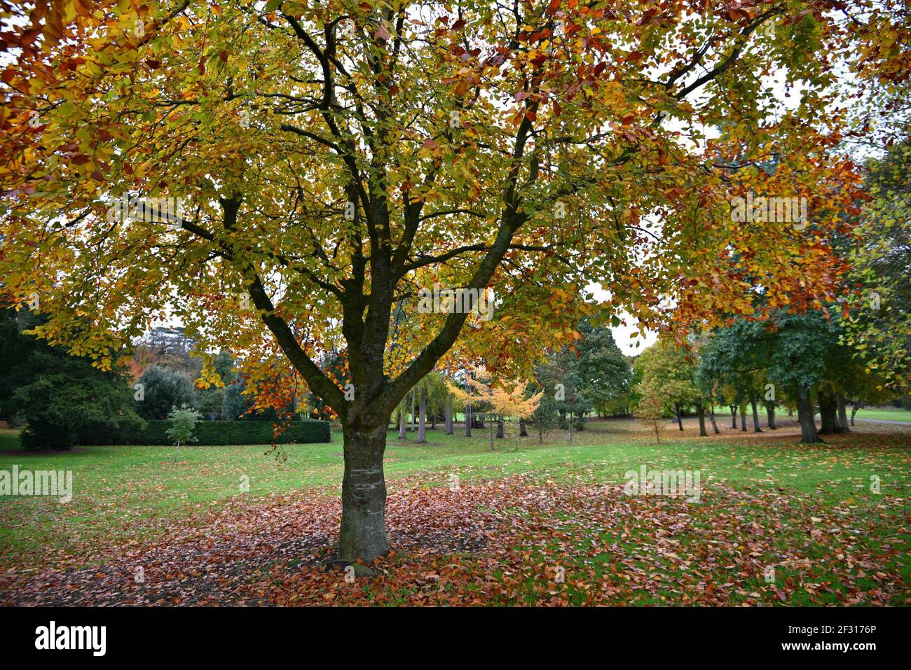 Paesaggio autunnale con vista panoramica del Castello di Kilkenny che circonda i giardini nella contea di Kilkenny, Leinster Irlanda. Foto Stock