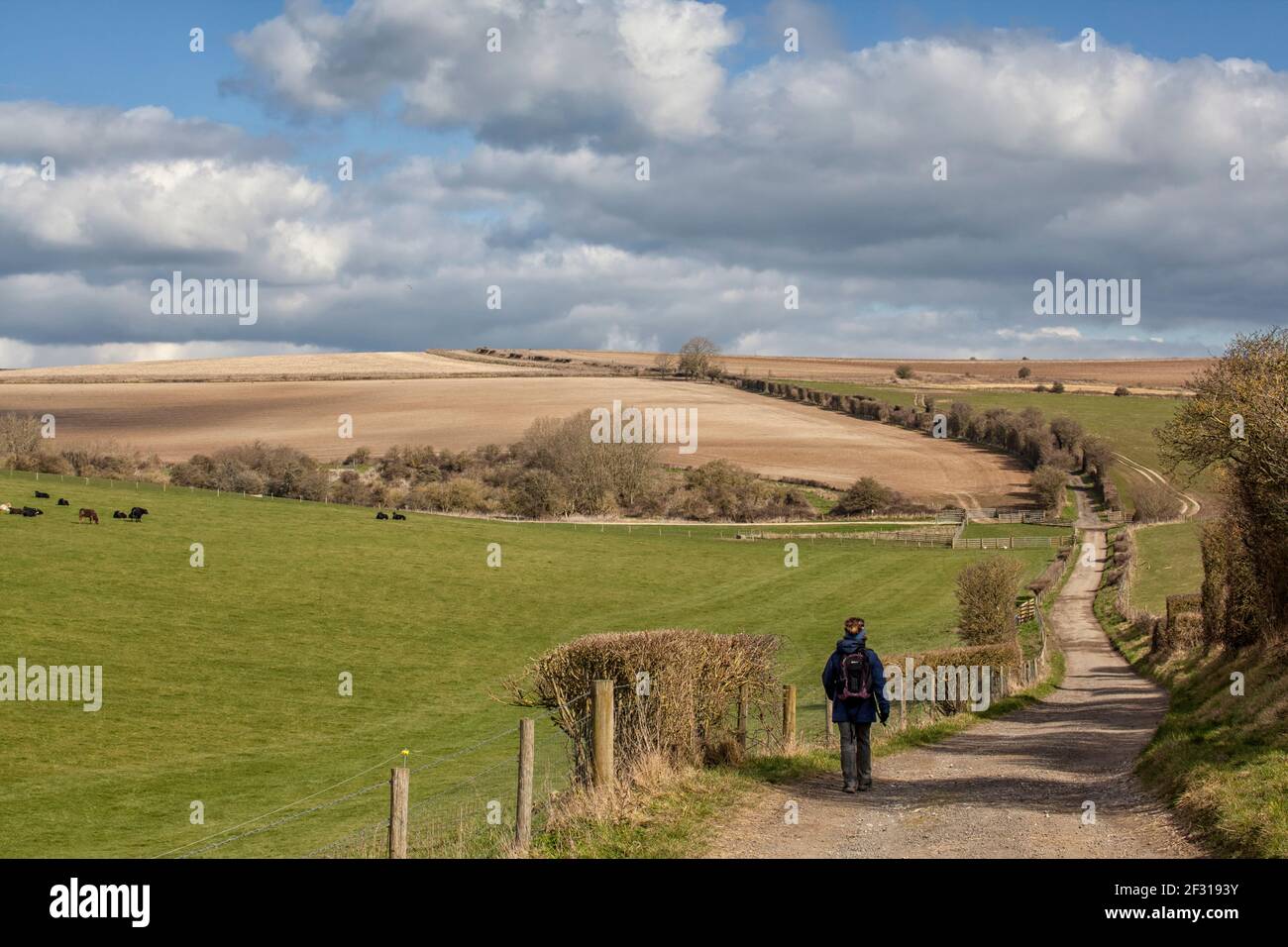 Walker su South Downs vicino a Sompting Foto Stock