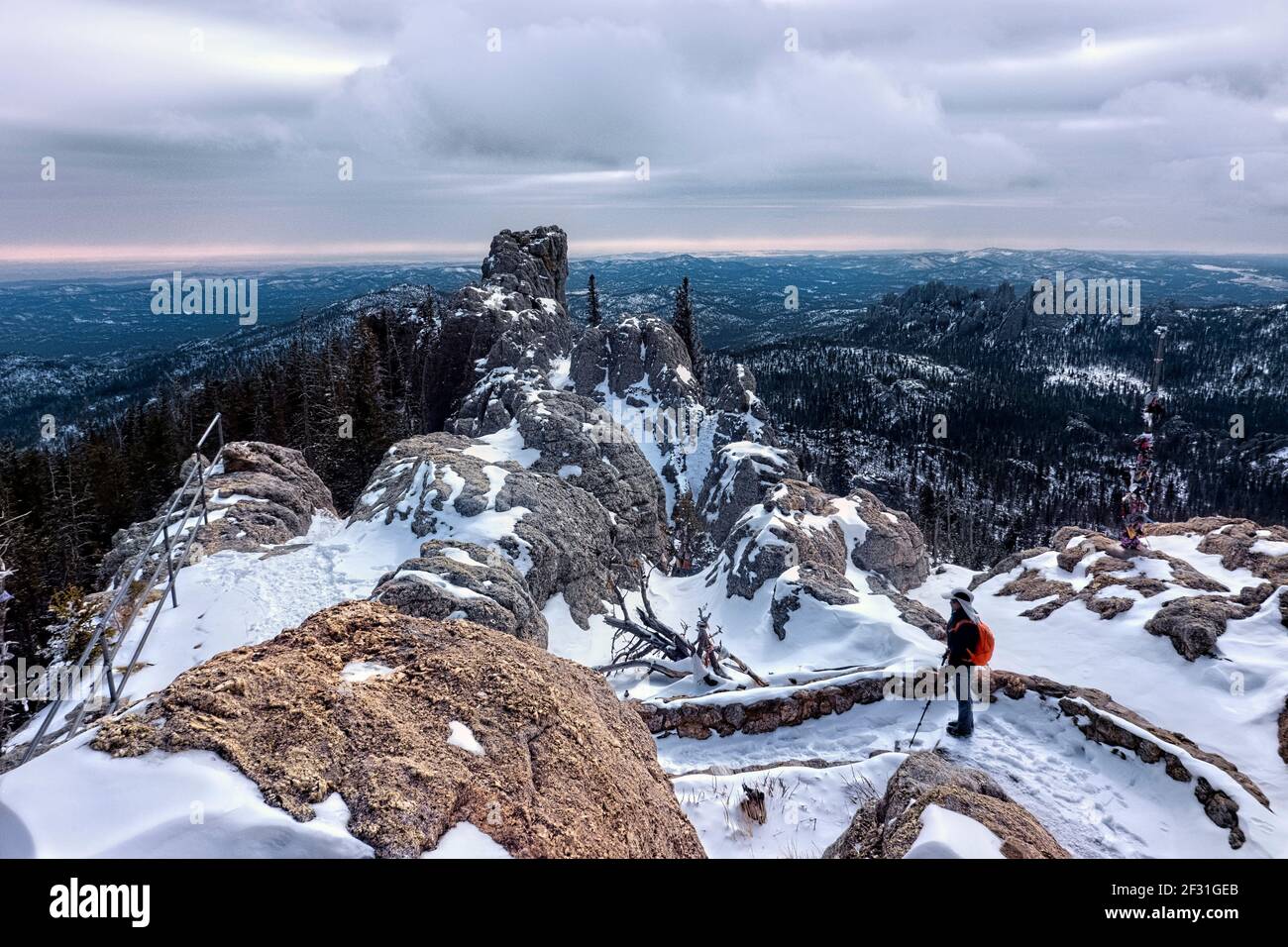 Viiew delle Black Hills dalla cima del Black Elk Peak (Harney Peak), Custer state Park, South Dakota, U.S.A Foto Stock