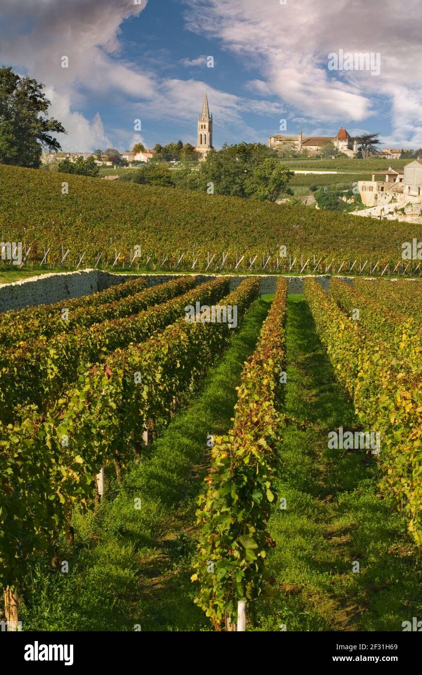 Saint Emilion vino villaggio con drammatico cielo blu guardando lungo Le viti dal vigneto di Chateau Troplong Mondot Bordeaux Gironda Francia Foto Stock