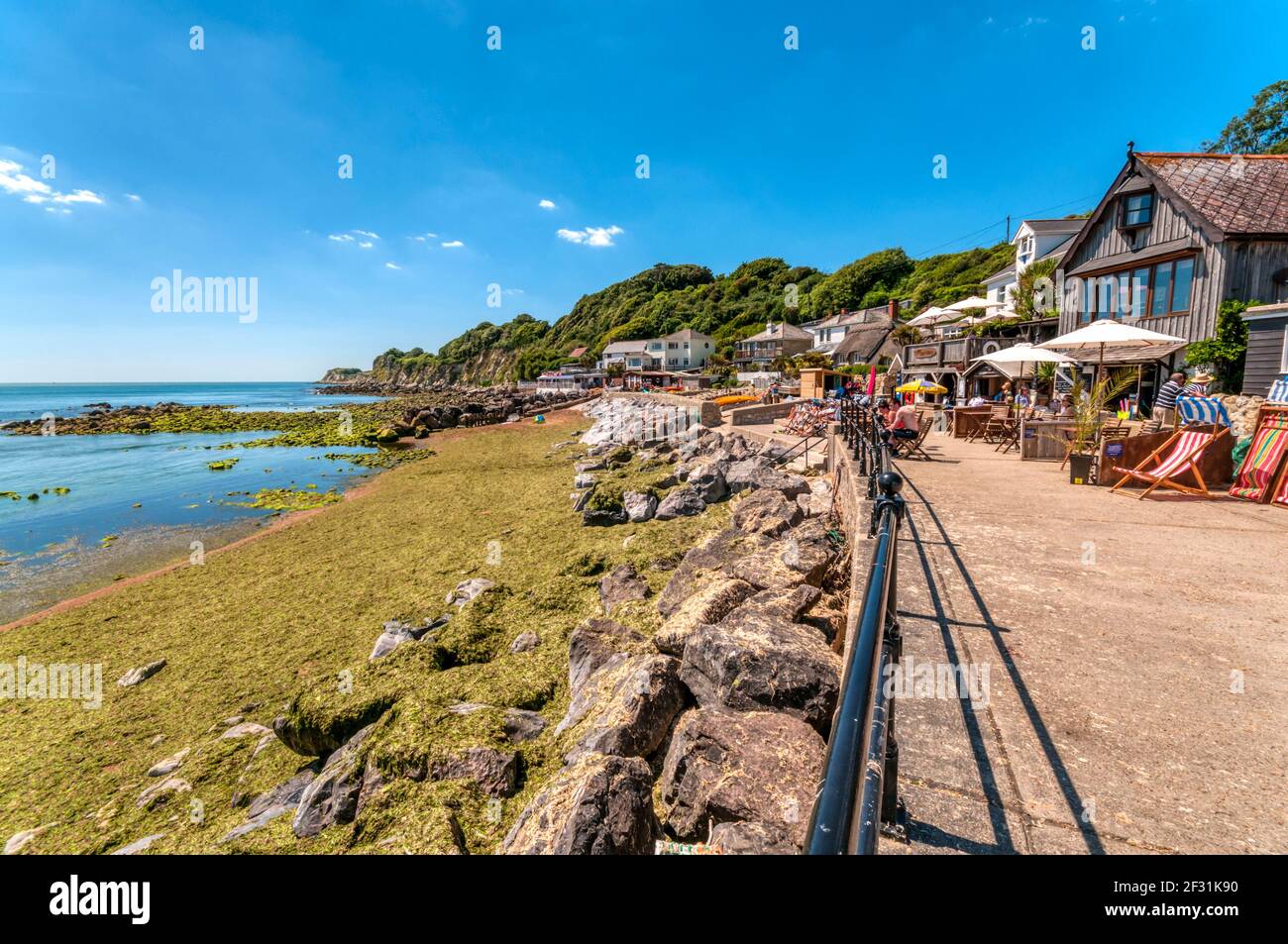 Steephill Cove sull'Isola di Wight. Foto Stock