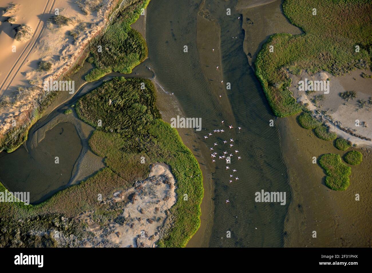 Geografia / viaggio, Namibia, Flamingo Swame attraverso il porto sandwich, fotografia aerea, Namib Naukluft, diritti aggiuntivi-clearance-Info-non-disponibile Foto Stock