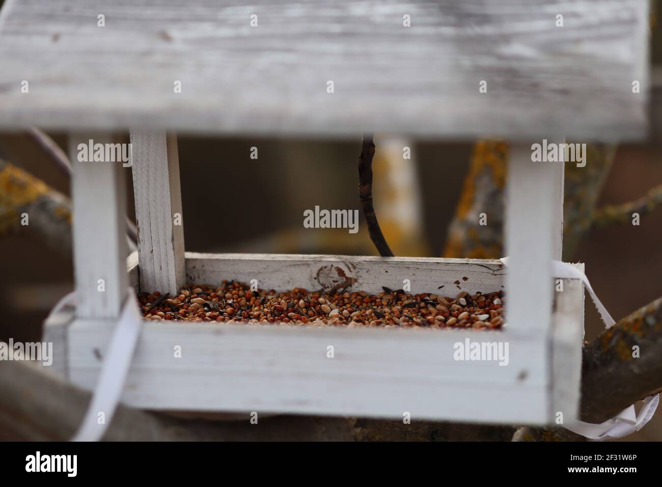 Birdhouse in legno in Foresta. Alimentatore per uccelli con miscela di semi. Foto Stock